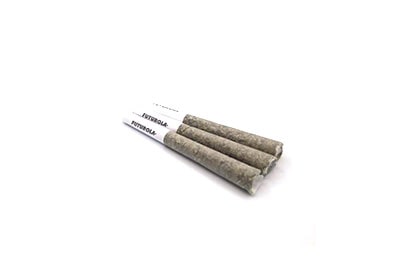 Passion x PICC Collab Infused Pre-Roll Dutch Treat x Blueberry Muffin